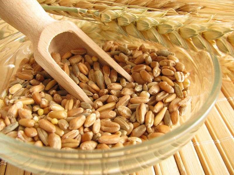 Можно ли есть полбу при подагре