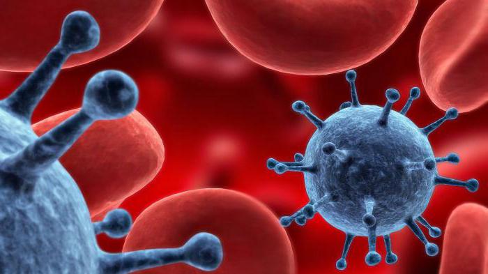 глево 500 инструкция по применению отзывы