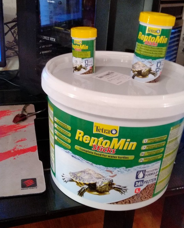 Íå äàðèòå ÷åðåïàøêó Êðàñíîóõàÿ ÷åðåïàõà, ×åðåïàõà, Äîìàøíèå æèâîòíûå, Äëèííîïîñò