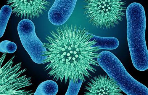 общий анализ крови при пневмонии