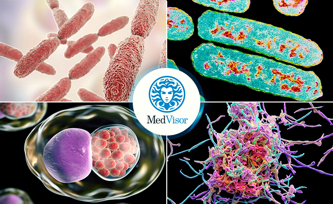 Возбудители острого бронхита Можно ли бронхит перепутать с пневмонией на рентгене