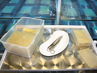 Краснодарский край ожог у мальчика