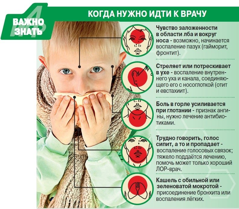 Как выглядит пневмония на снимке