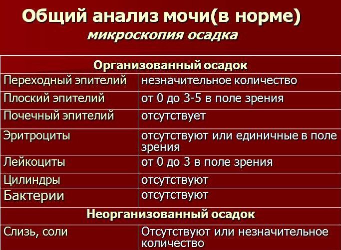 Общий анализ мочи