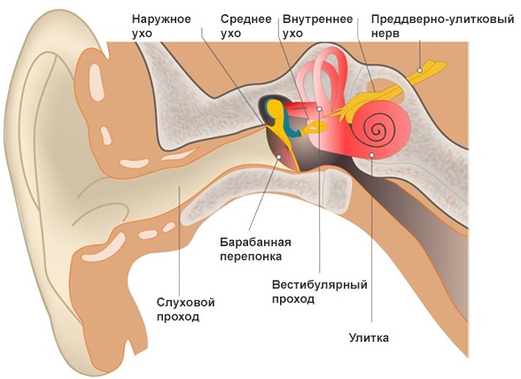 Лучшие антибиотики при отите у взрослого, ребенка. Таблетки, уколы, капли