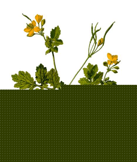 Пятна в виде ожогов чем лечить