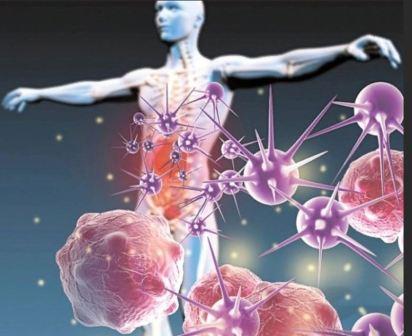 Как влияет клебсиелла на организм В кишечнике обнаружена клебсиелла, что это значит