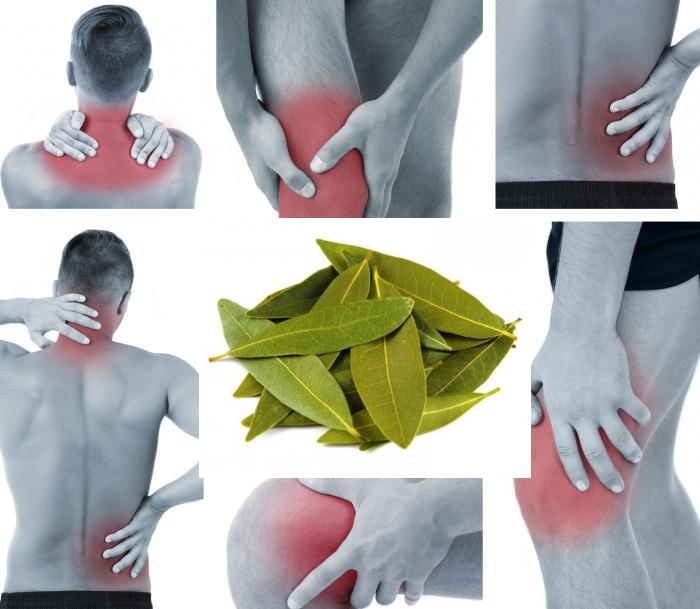 Лавровый лист для лечения суставов