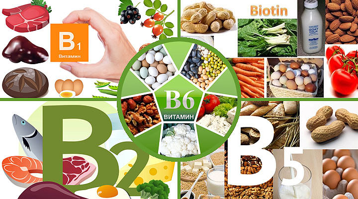 Основные вещества, входящие в состав овоща Химический состав