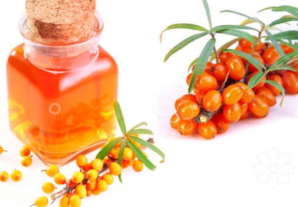 облепиховое масло при ожогах