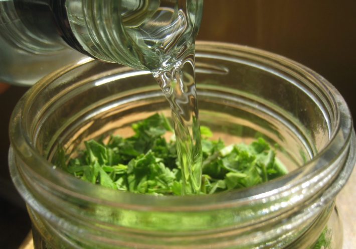 Настой листьев лопуха Настой листьев лопуха