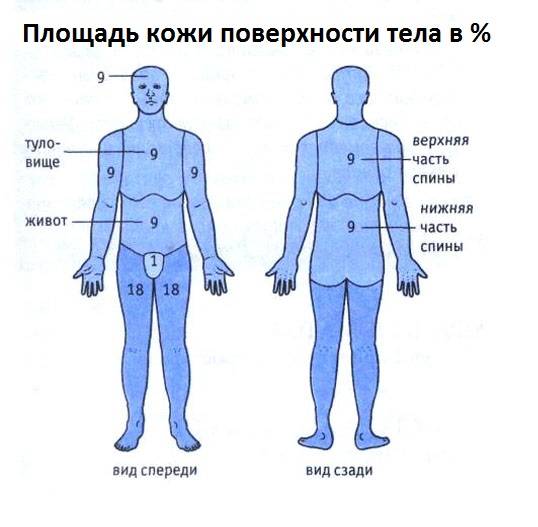 площадь ожога