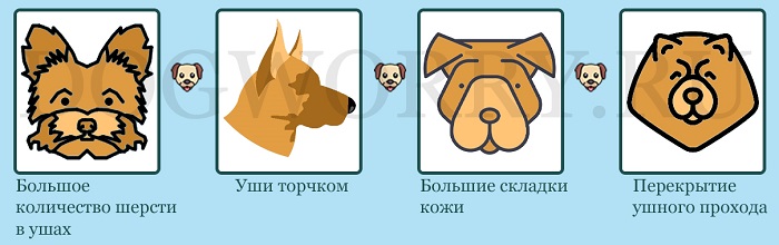 Причины возникновения отита у собак