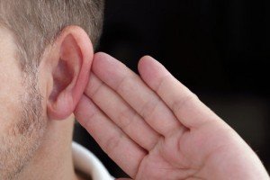 Ушная раковина