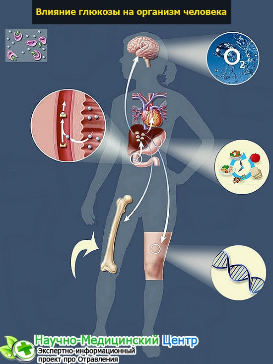 Капельница с глюкозой: для чего нужна и как помогает организму