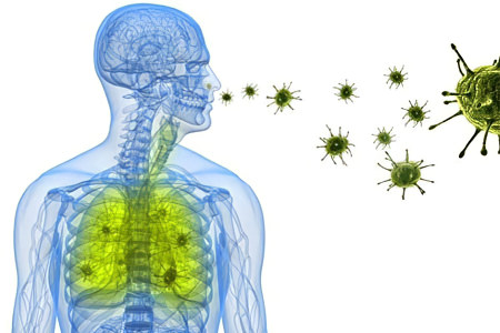 Как происходит заражение Как происходит заражение